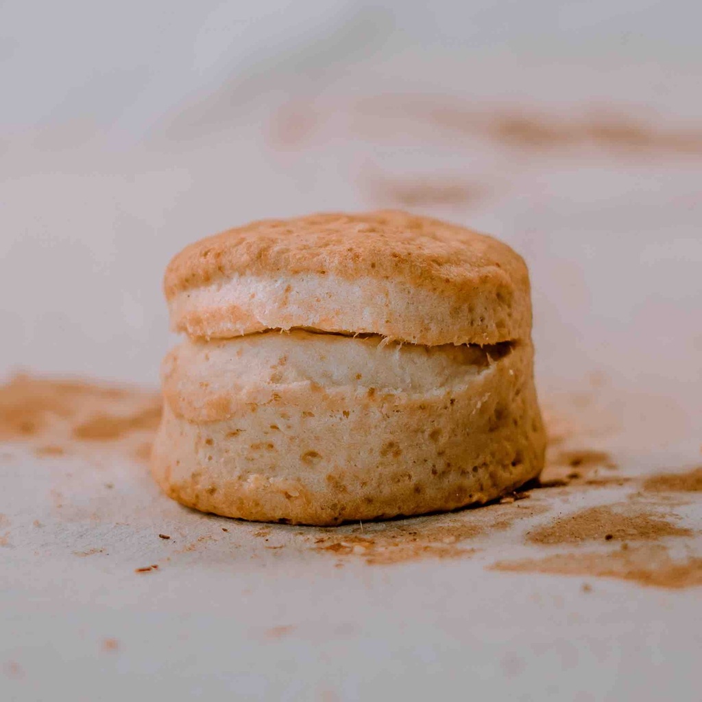 [PANN] Biscuit